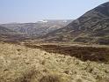 10- A 660m altitude, la vegetation est reduite 